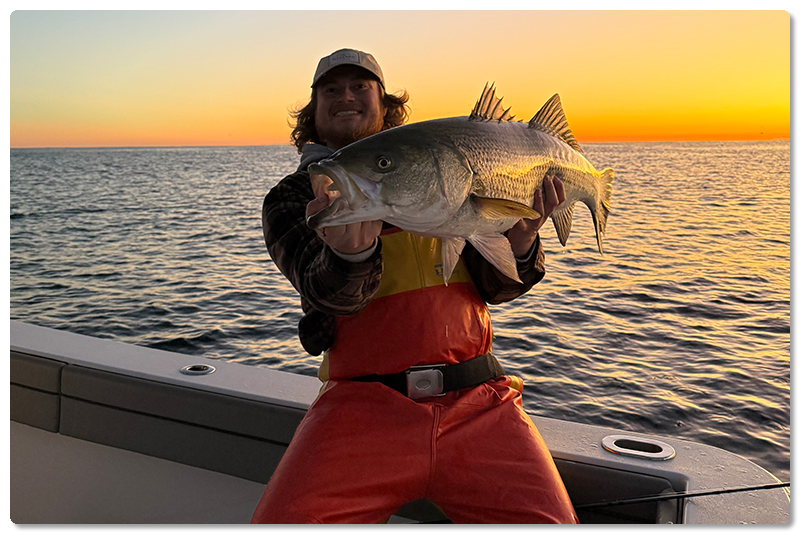 Protect Striped Bass Access Protect Striped Bass Access